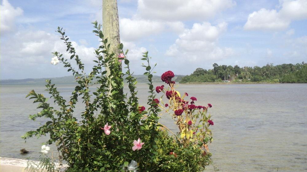 West Plaza By The Sea Hotel Koror Buitenkant foto